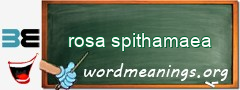 WordMeaning blackboard for rosa spithamaea